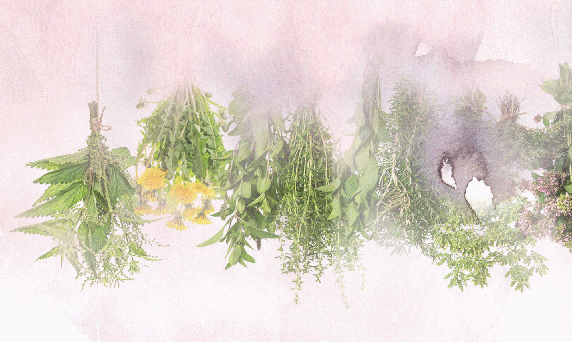 Intuitive healing and guided sessions for body reading and connecting your mind and body. let them be friends. online and in-person sessions